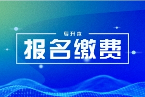 湖南工学院专升本关于在校学生2024-2025学年学杂费缴费